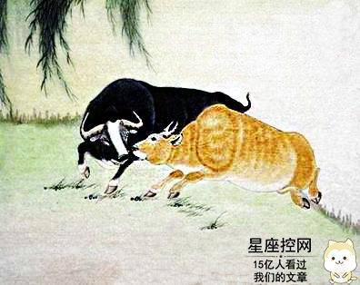 乡土难离什么生肖、科学作答落实解释