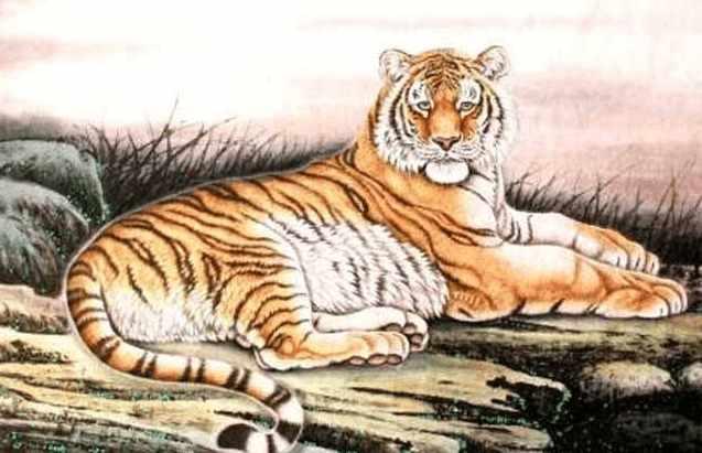 放虎归山是什么生肖:谜底即将揭晓落实