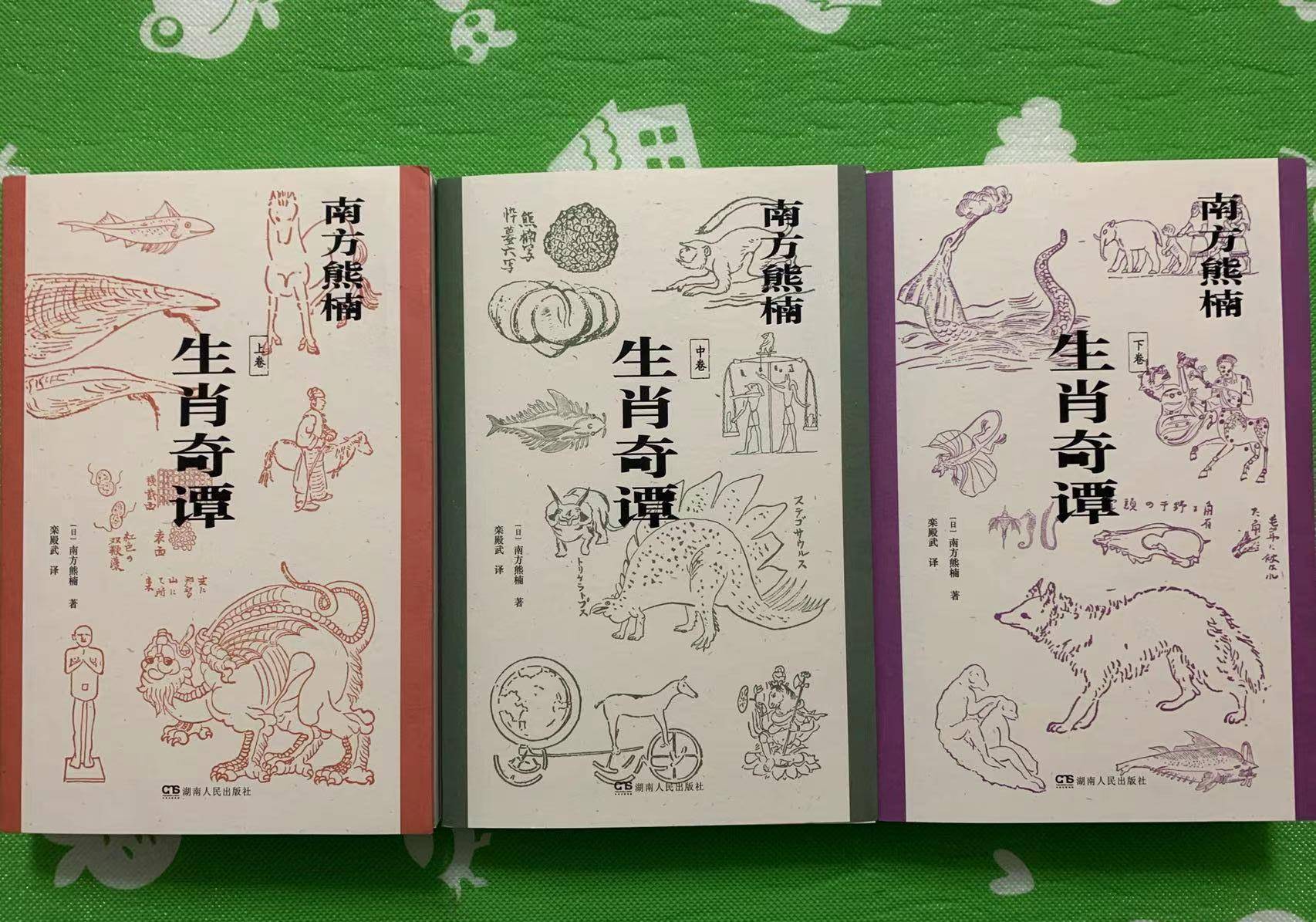 盲人骑瞎马，生肖之谜的全面解析与文化探索