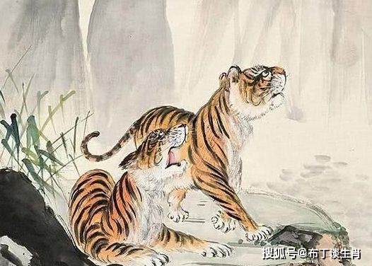 坐卧不宁是什么生肖:最快解答落实 坐卧不宁是什么生肖:最快解答落实