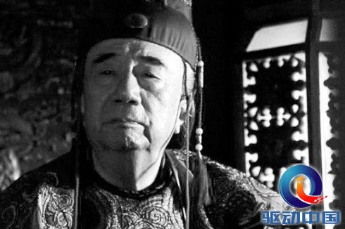 揭竿四起，权威揭晓的动物谜底与落实行动的智慧