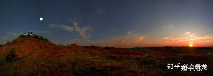 日色高升月低微，生肖之谜与人生哲理的深度解读