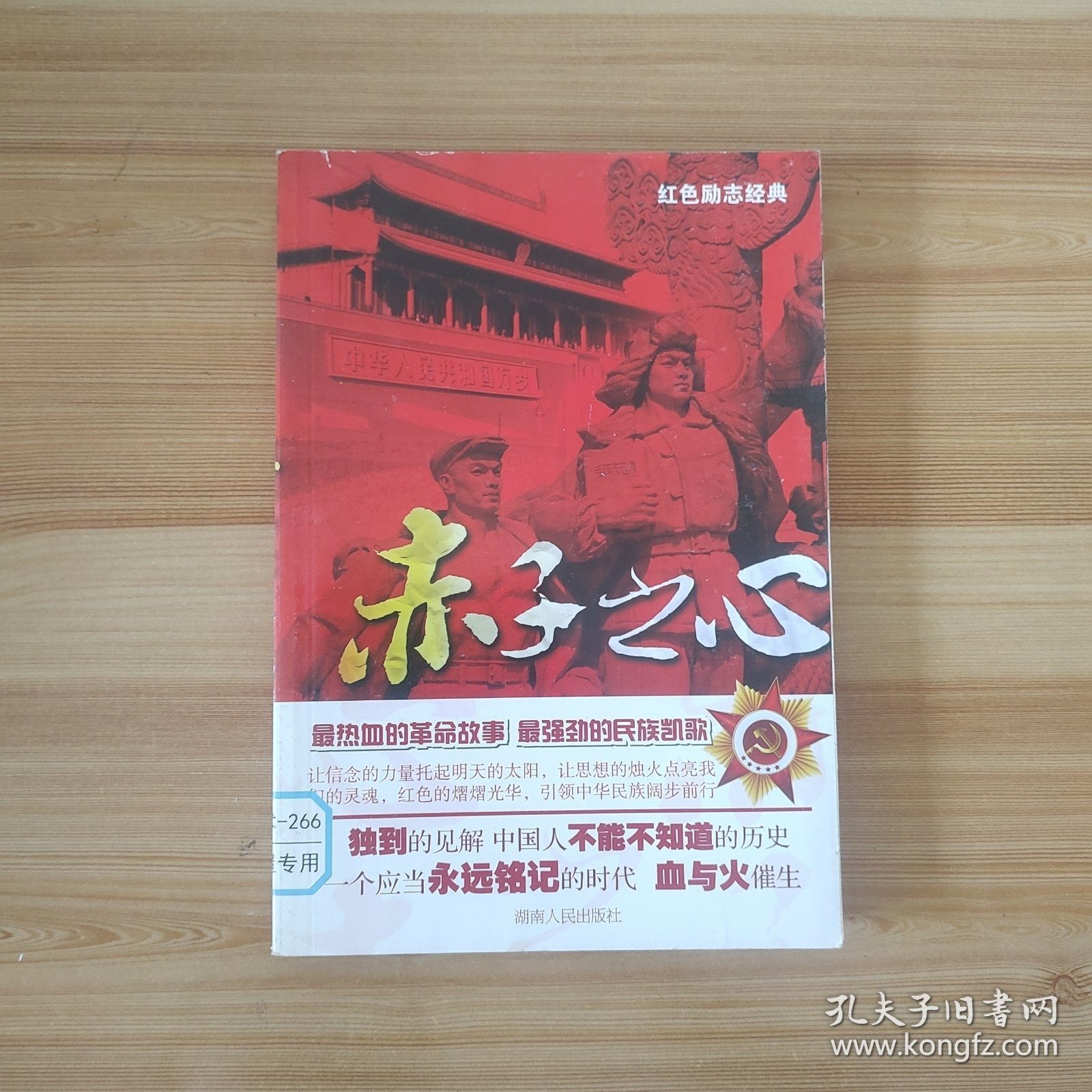 赤子之心与生肖之谜，专家解读背后的文化寓意