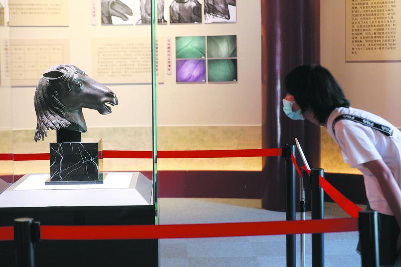 揭秘狗血喷头背后的生肖之谜，一场文化与科学的奇妙碰撞