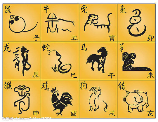 乱碰乱撞,生肖背后的文化寓意与查询解释 乱碰乱撞,生肖背后的文化寓意与查询解释