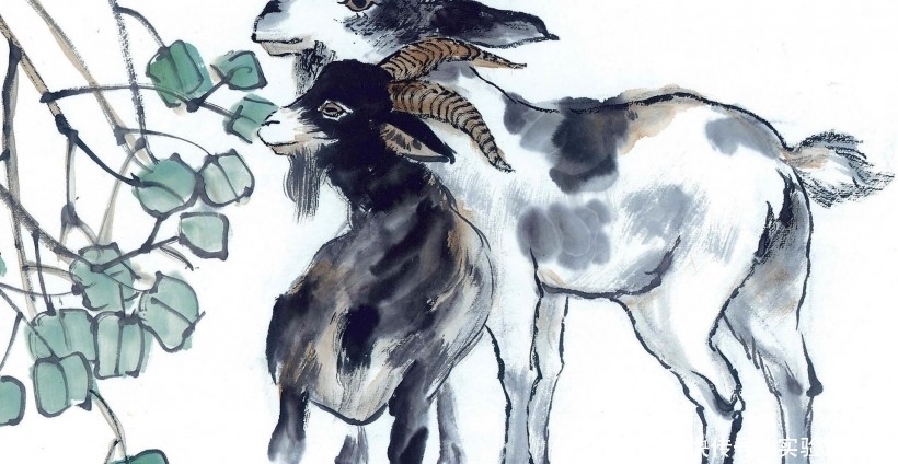 文质彬彬最佳生肖、沉稳解释落实