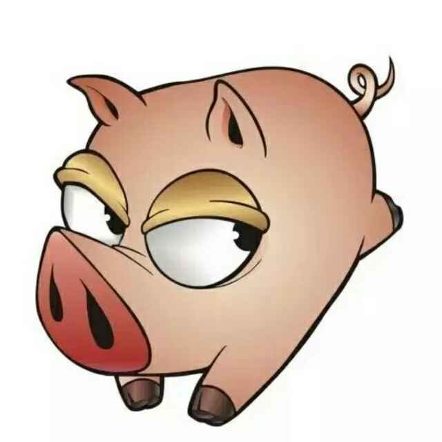 疯疯癫癫打一个生肖、专家解释落实