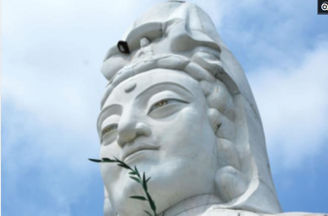 进退两难中的智慧之光，生肖之谜的快速解析