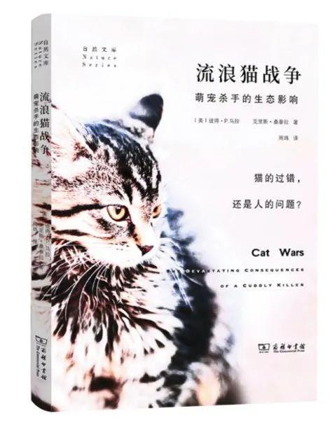 方寸不乱显真章—解密打一准确动物与精选解释落实的智慧