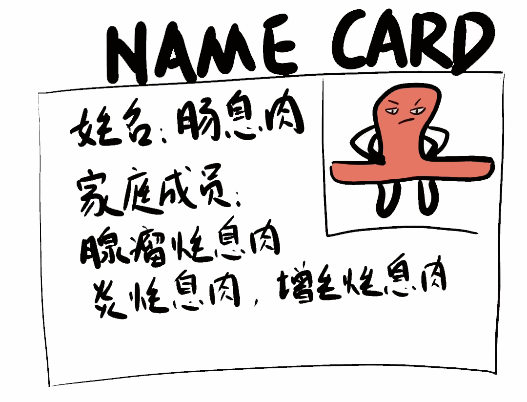 当头棒喝与生肖的神秘联系，网络解释的落实与文化深究