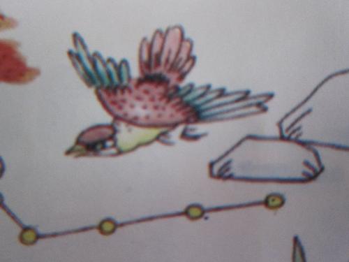 铜筋铁骨代表什么生肖:经典解释作答落实