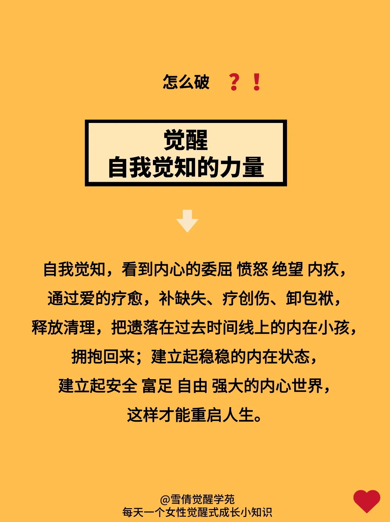 寒冬料峭中的生肖谜题，揭秘第一解答的深层含义