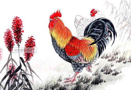 揭秘起早贪黑背后的生肖谜题