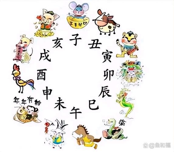 八分二四一起走打一正确生肖、数字化解释落实