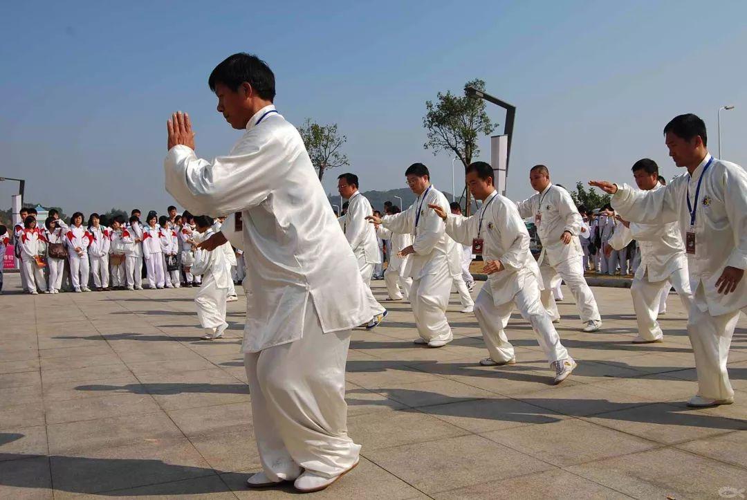 枉费时日打一动物:经典解释作答落实