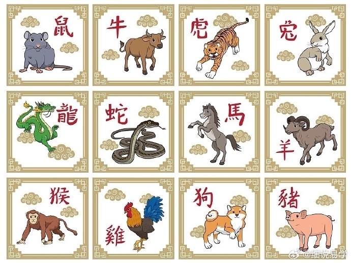鸡零狗碎，生肖中的独特词语解析与文化落实