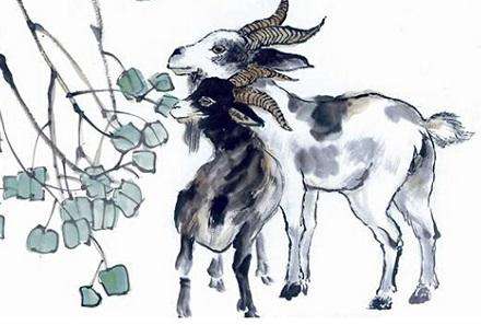 身体健康与生肖的奇妙联系，揭秘属羊人的养生之道