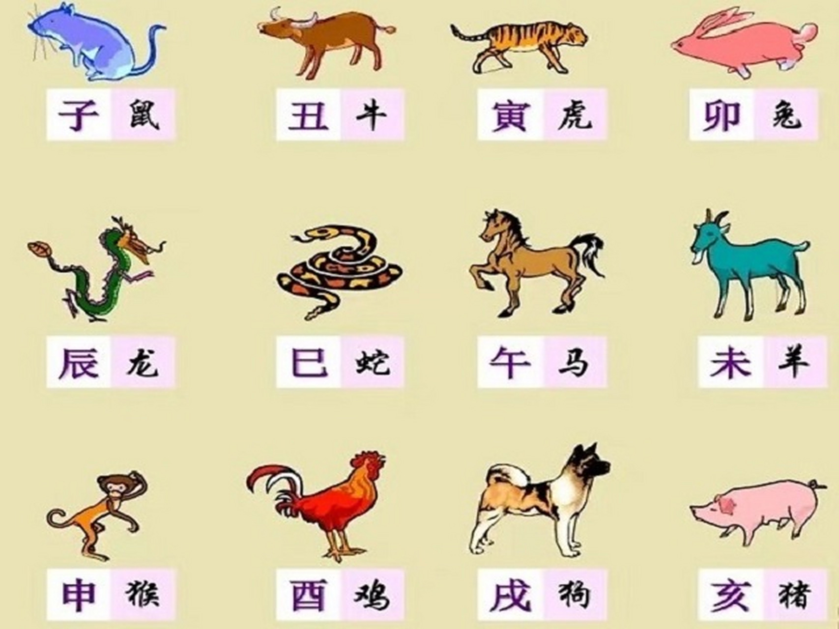 鸡零狗碎，生肖中的独特词语解析与文化落实