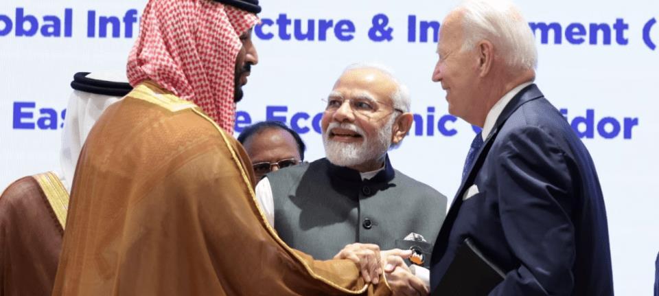 画虎类狗，生肖文化中的误解与预测解释的落实