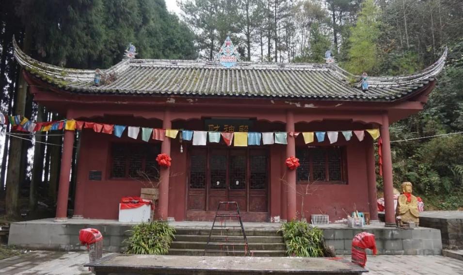 独霸森林是什么生肖:权威揭晓落实