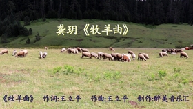 告哀乞怜的意思、怎样落实解释 告哀乞怜的意思、怎样落实解释