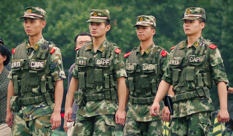 九死一生，解密生肖谜题与学习作答的智慧