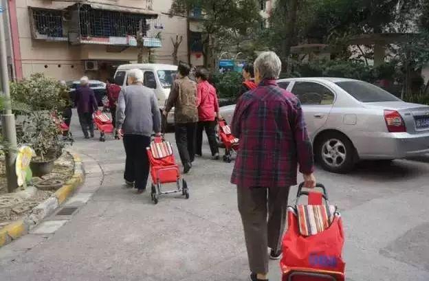 贼走关门—生肖中的智慧与警觉