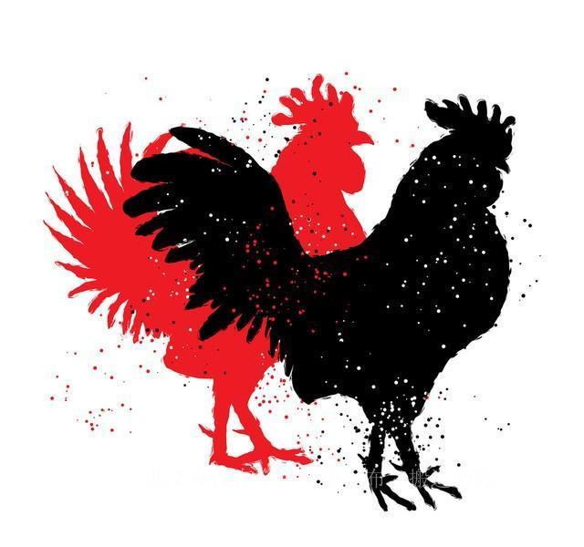 沐浴春风的生肖与合作的深层解读