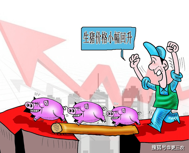 坐收渔利猜一生肖:经典解释作答落实