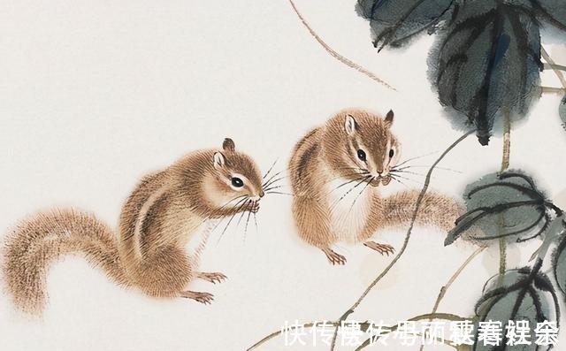 一息尚存是什么生肖:第一解答落实