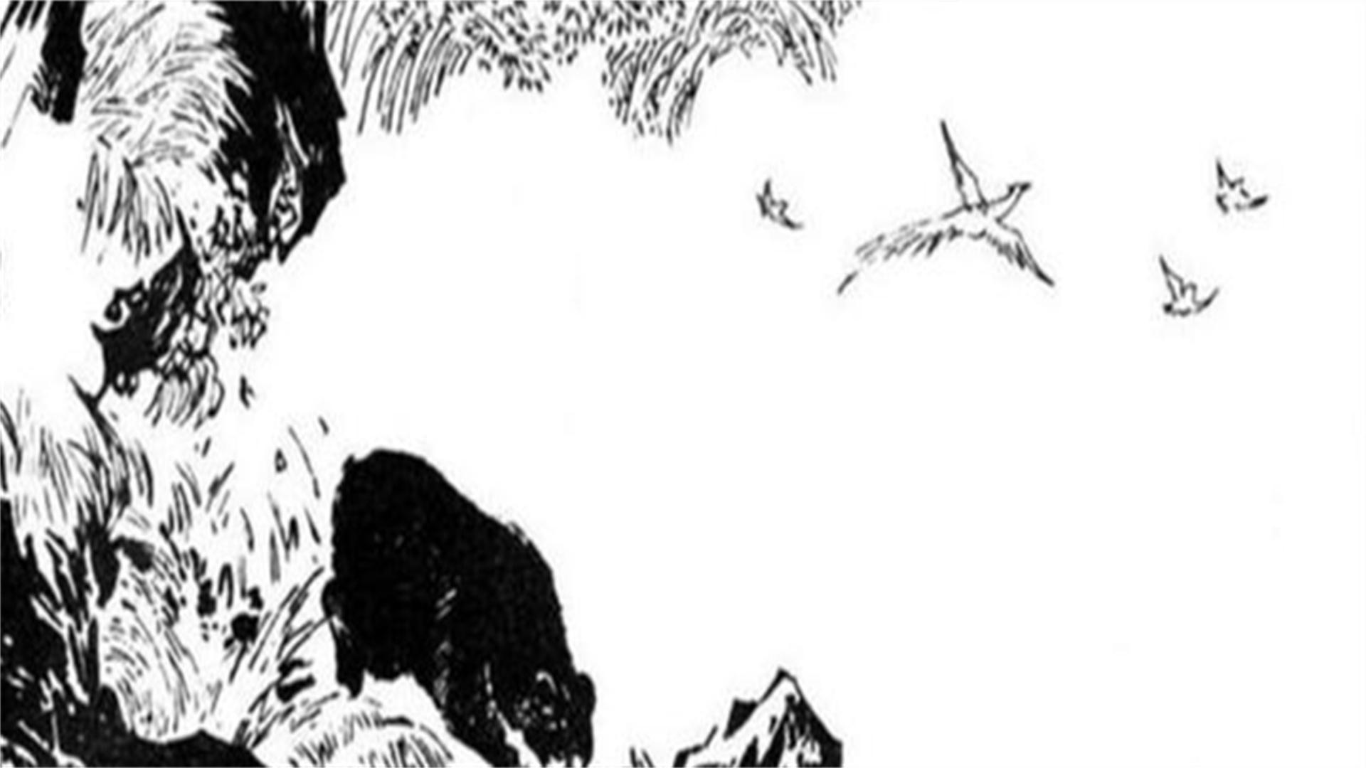 绿林好汉抓盗贼，生肖之谜的揭秘