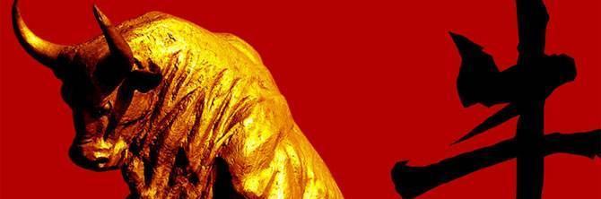 揭秘地动山摇背后的生肖奥秘，专业解析与文化探索