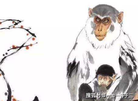 千变万化猴机灵打一肖:答案解释落实