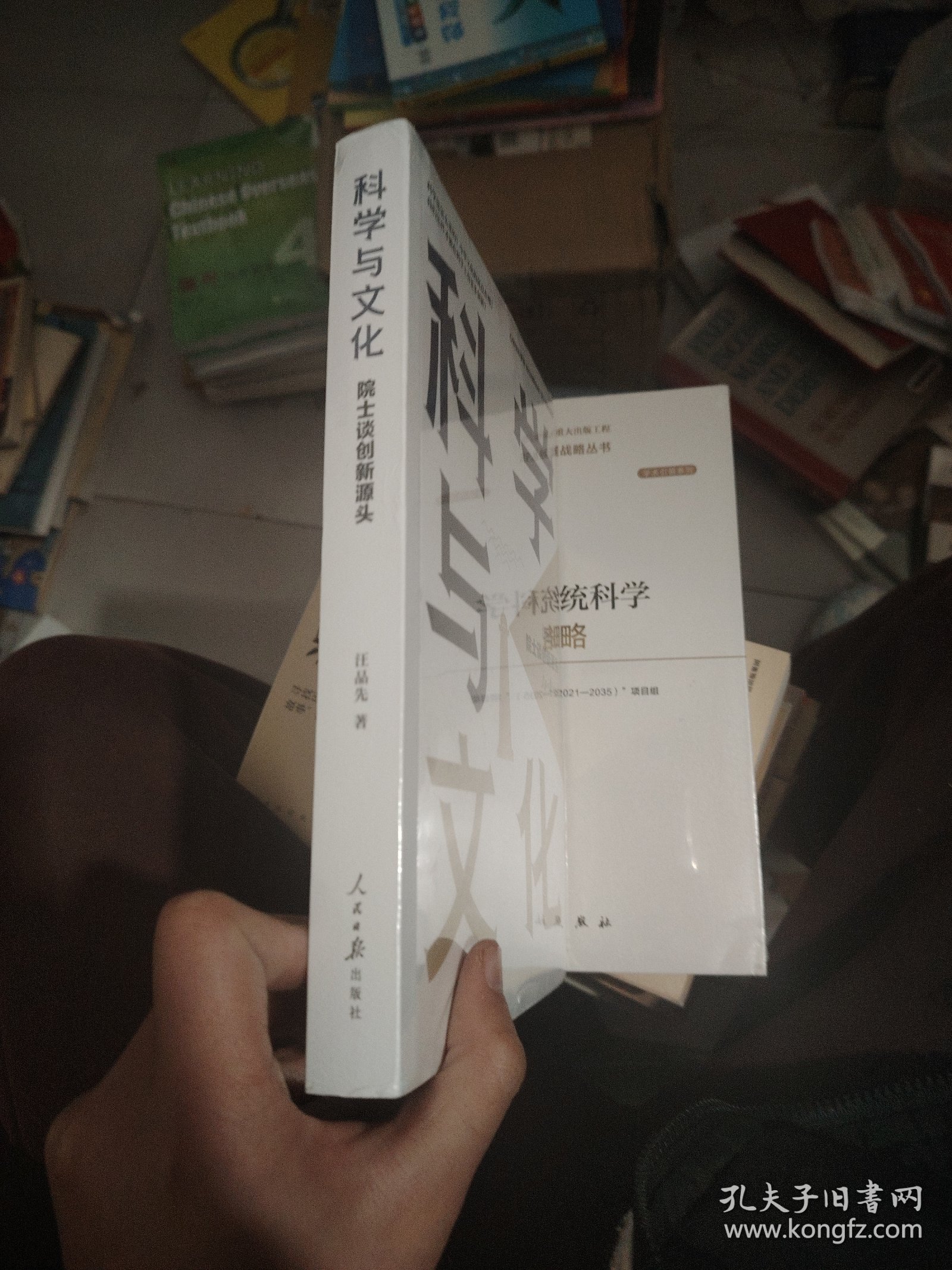 揭不开锅打一准确生肖，科学作答与文化解析