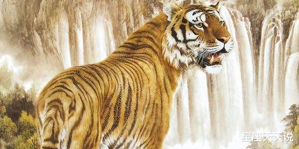 揭秘平添四海三江水背后的生肖奥秘