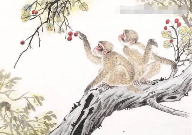 双喜临门福星到什么生肖:全面揭晓解释落实