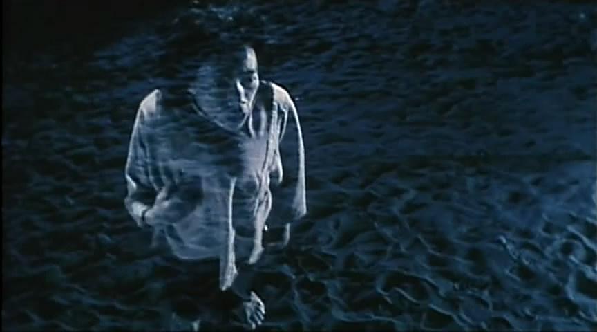 阴风四起，揭秘生肖之谜，探寻鼠的神秘面纱