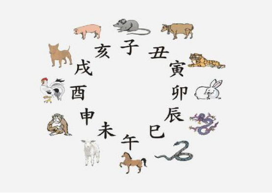 乱碰乱撞,生肖背后的文化寓意与查询解释 乱碰乱撞,生肖背后的文化寓意与查询解释