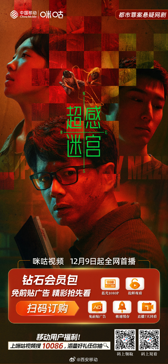 揭秘花飞蝶舞背后的生肖谜题，谜底即将揭晓