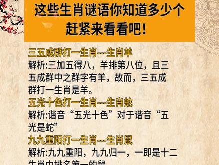 滴水不漏，揭秘经典生肖谜语背后的智慧与文化