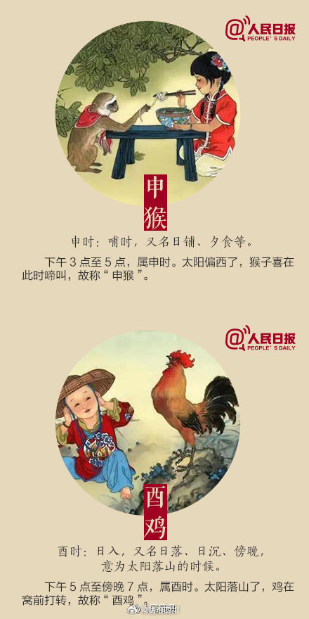 古今中外话打一生肖，全面解释与落实的深度探索