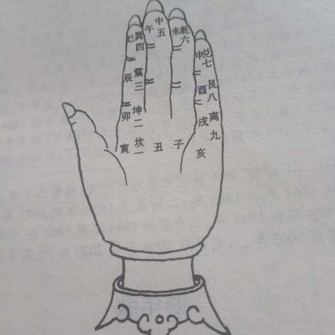 了如指掌与生肖之谜，探索支持解释落实的智慧