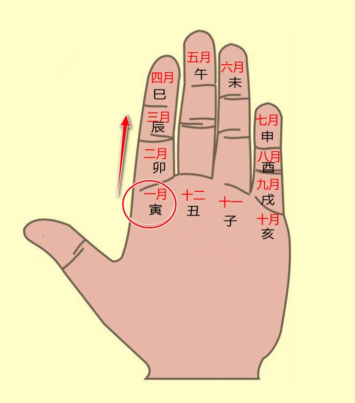 了如指掌与生肖之谜，探索支持解释落实的智慧