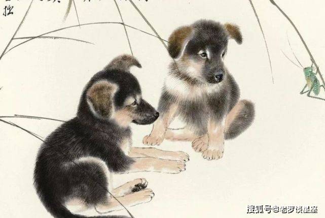 称心如意打一个正确生肖:第一解答落实 称心如意打一个正确生肖:第一解答落实