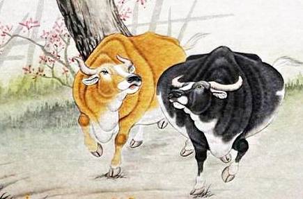 母慈子孝打一生肖、常常解释落实