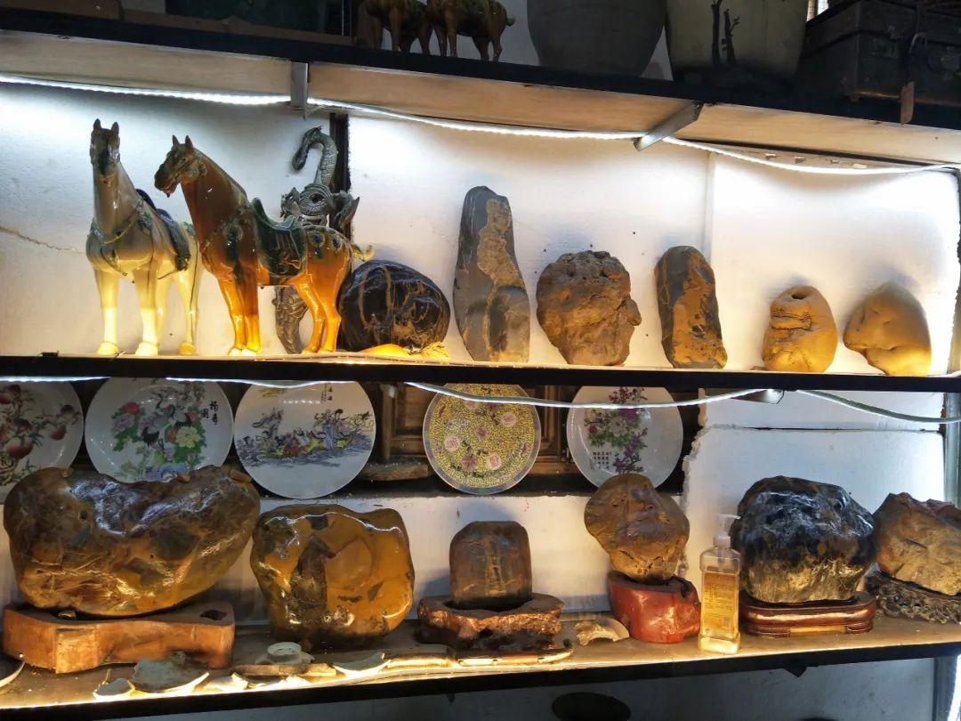 夺人之爱，揭秘最快解答落实的动物智慧