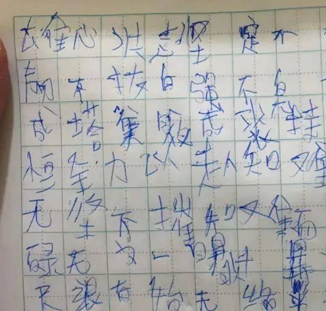 潦草塞责，生肖背后的深刻寓意与行动指南