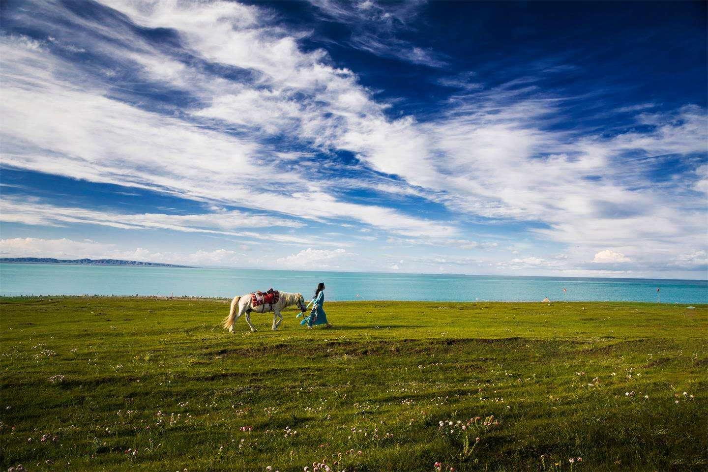 云游天下，生肖中的自由灵魂—深度解析与文化寓意