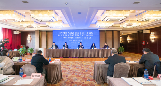 合作解释落实，拉东拖西话西游猜一生肖的智慧之旅