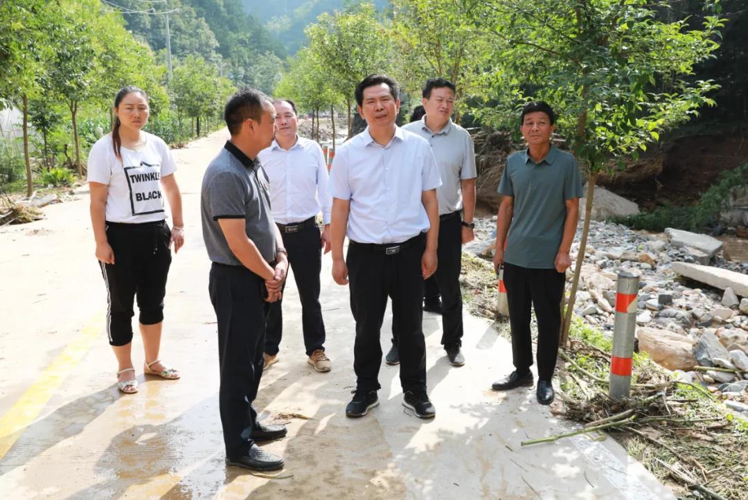 引狼入室是什么生肖动物、全面解释落实